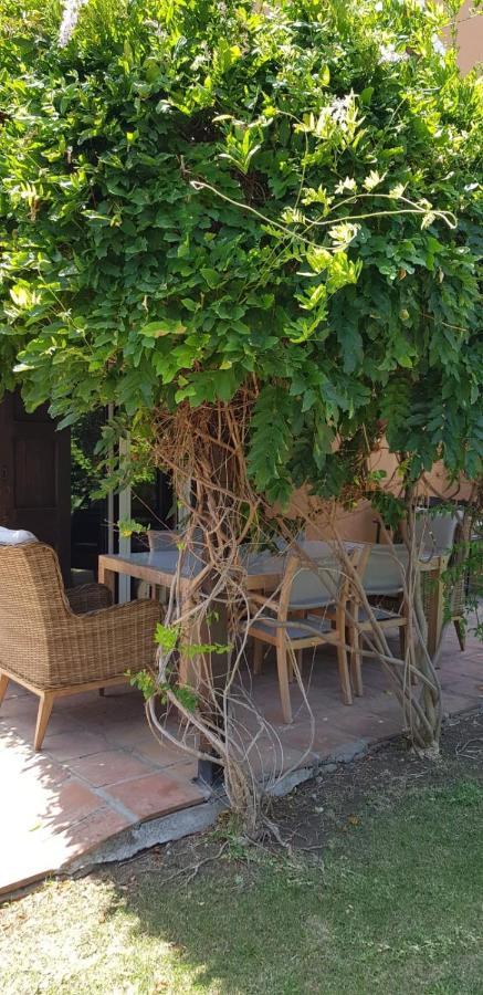 הוילה Casa אלקאידסה מראה חיצוני תמונה
